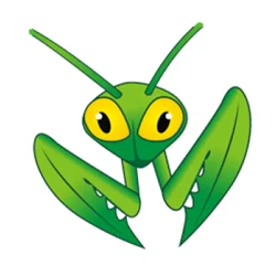 Mantis